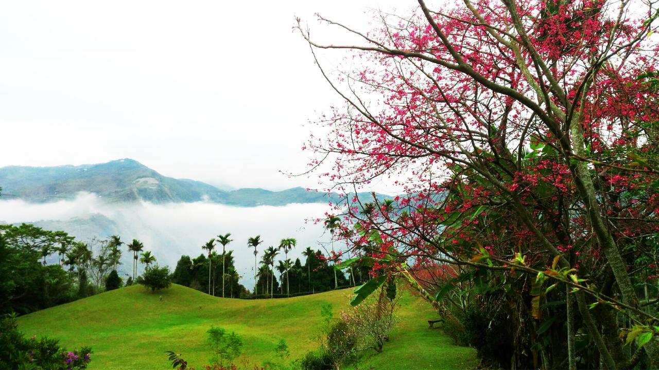 Foggy Wonderland Villa Zhushan Exterior foto